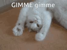 gimme gif|gimme meme gif.